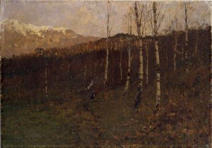 Coppice Birch Forest